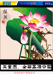 艺术国画荷花依然（矢量图）