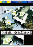 艺术国画咏荷（矢量图）