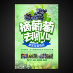 葡萄海报