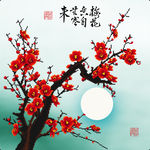 钻石画 十字绣 梅