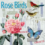 欧美花鸟装饰画