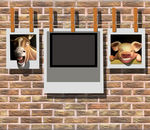 猪头3D画摄影3D图