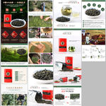 六安瓜片茶叶详情页PSD模版