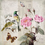 欧美花鸟装饰画