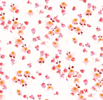 小小碎花