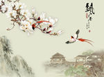 雅舍兰香玉兰花