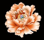 金色牡丹花