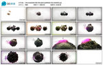 3D球形变换酒吧vj素材led