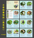 昆虫记