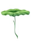 手绘荷叶