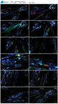 蓝色酒吧LED粒子3D未来科技