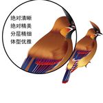 吉祥鸟