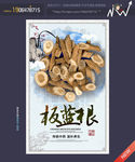 板蓝根
