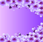 梨花