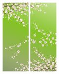时尚花卉