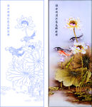 荷花鱼