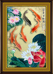 荷花鱼