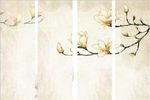淡黄色小花 白玉兰花