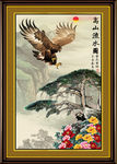 老鹰