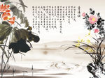 爱莲说荷花