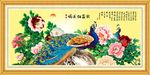 孔雀牡丹