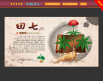 中药田七