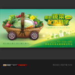 蔬菜配送公司促销海报