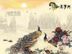 家和万事兴牡丹花
