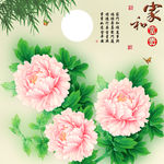 十字绣钻石画无框画家和富贵牡丹