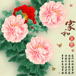 十字绣钻石画无框画家和富贵牡丹