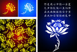 莲花  花纹 底纹 青花瓷