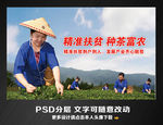 种茶富农