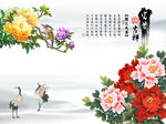 富贵吉祥牡丹花