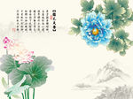 国色天香牡丹花