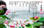 赏荷爱莲说