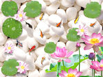 3D鹅卵石荷花