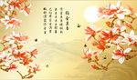 雅舍兰香玉兰花