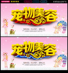 宠物美容
