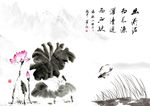 荷塘