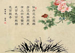 牡丹