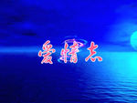 婚礼爱情志视频