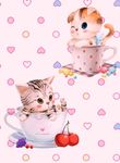 小猫（内含高清图片）