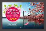 华盛顿樱花季