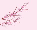 高清矢量手绘梅花AI