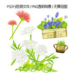 手绘菊花花朵插画