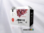 精品提子包装（平面图）