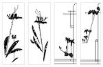 雕刻花纹