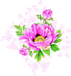 手绘花