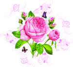 玫瑰花