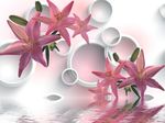 3D百合花